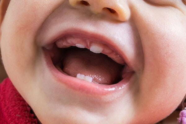 Come possono i neonati masticare con solo i denti anteriori?